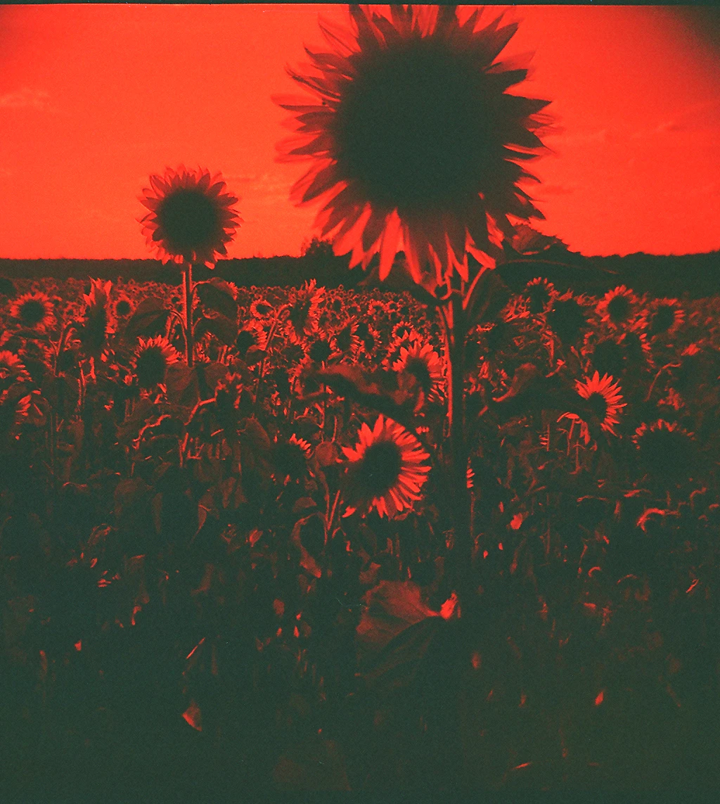 Life on Mars by Julia  Tet...