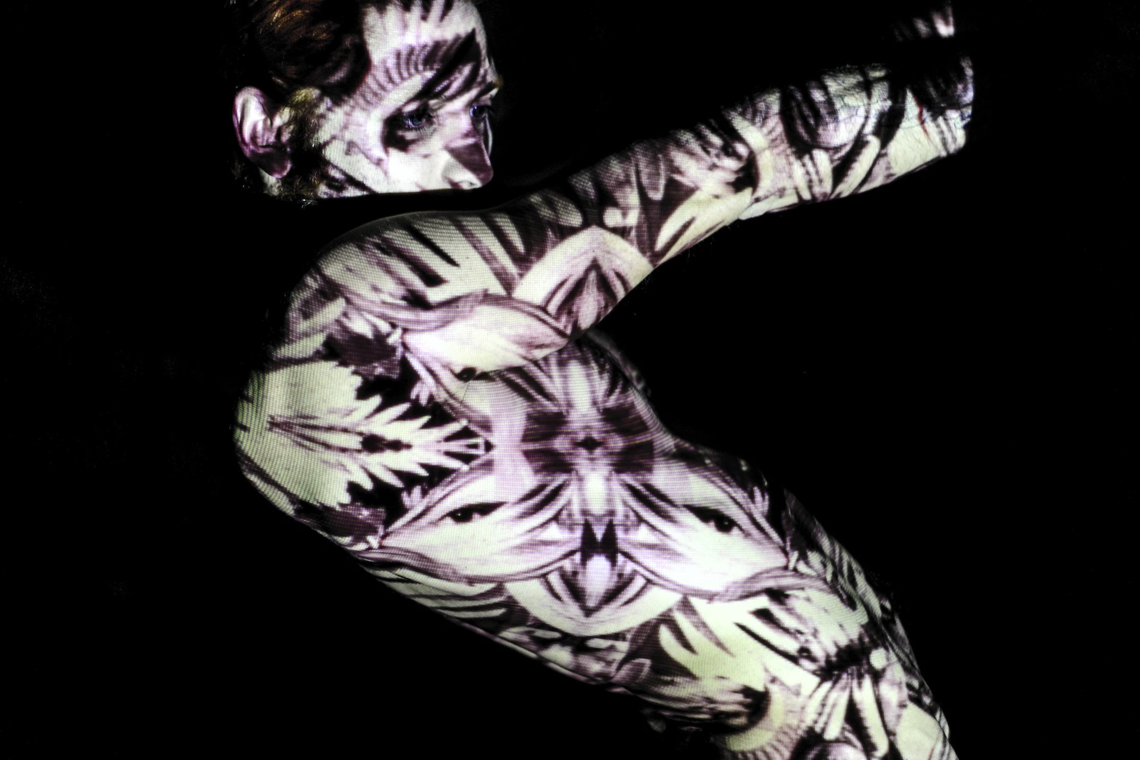 Naturalia/Artificialia by Nicola Di Fiordo...