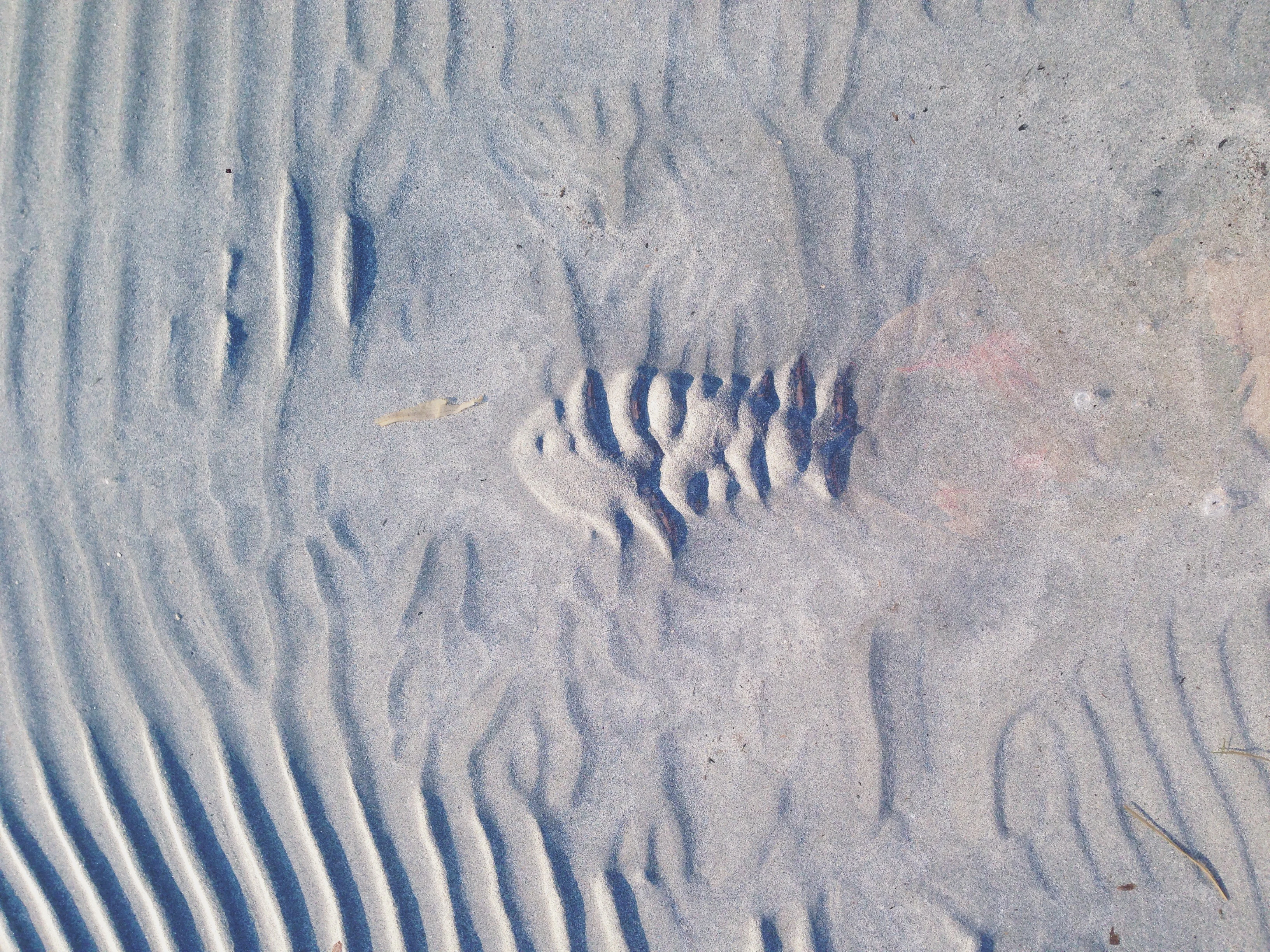 Tides (2014) by Cagla Gulsah Kabaca...