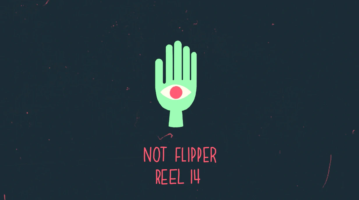 Not Flipper Showreel 2014