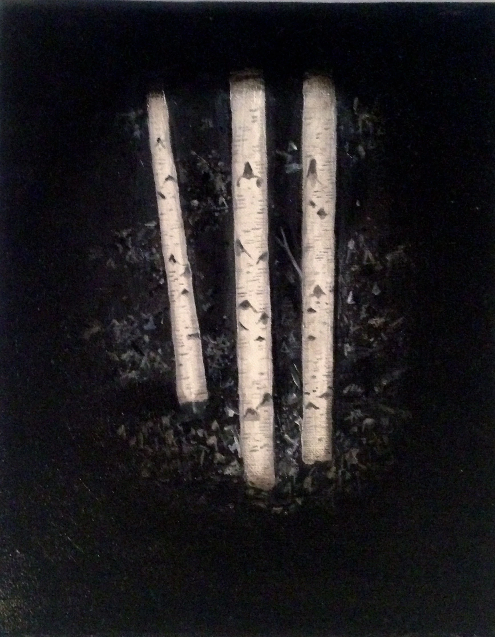 Birch Trees Oil Painting