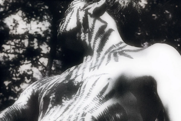 Human Nature ~ (2013/2014) by Maria Louceiro...