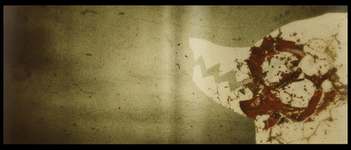 Little Red Riding Hood (2014) by Maria Louceiro...