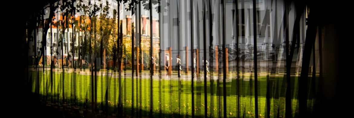 Cinemorphose by Francisco c.p. Vasconcelos...