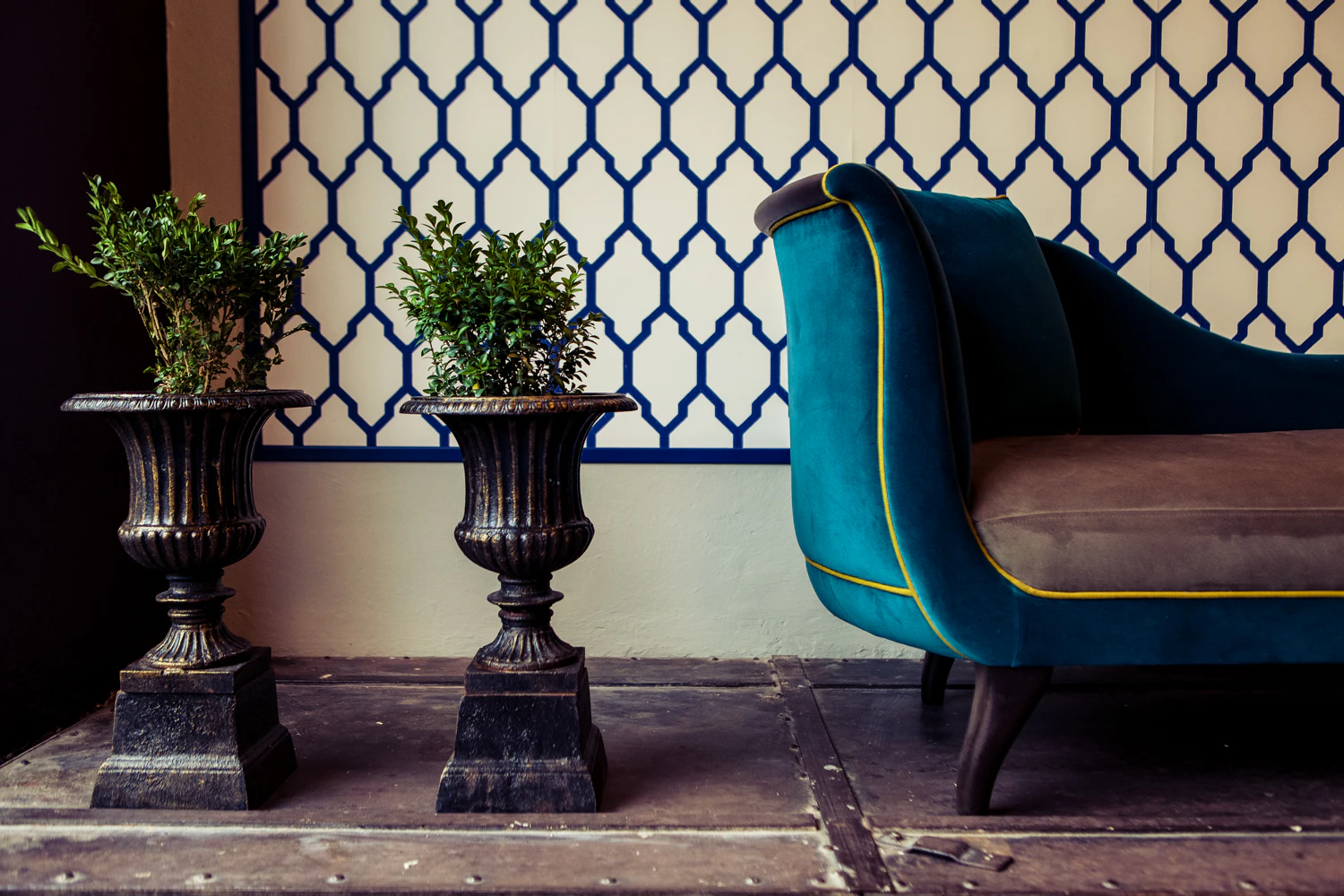 fizz interiors by david nassim...