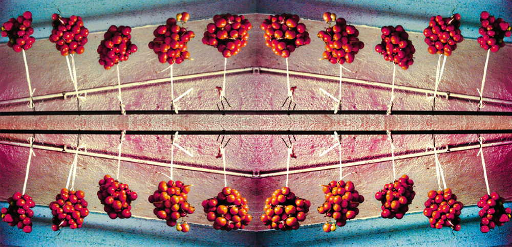 Handmade & Digital collages by rossella babbino...