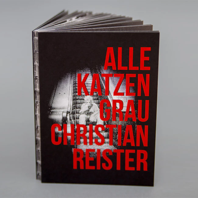 ALLE KATZEN GRAU by Christian Reister...