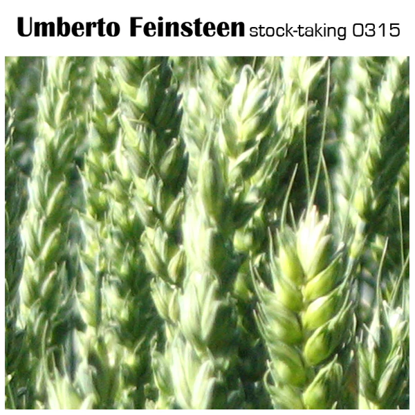 Umberto Feinsteen - stock-taking 0315