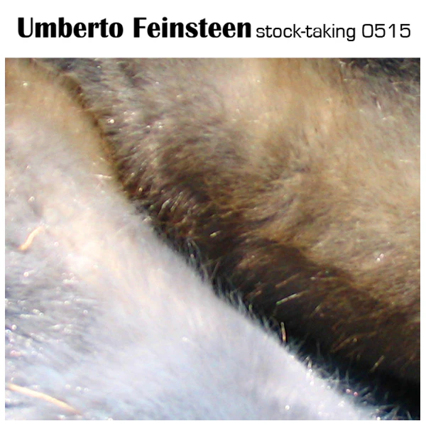 Umberto Feinsteen - stock-taking 0515