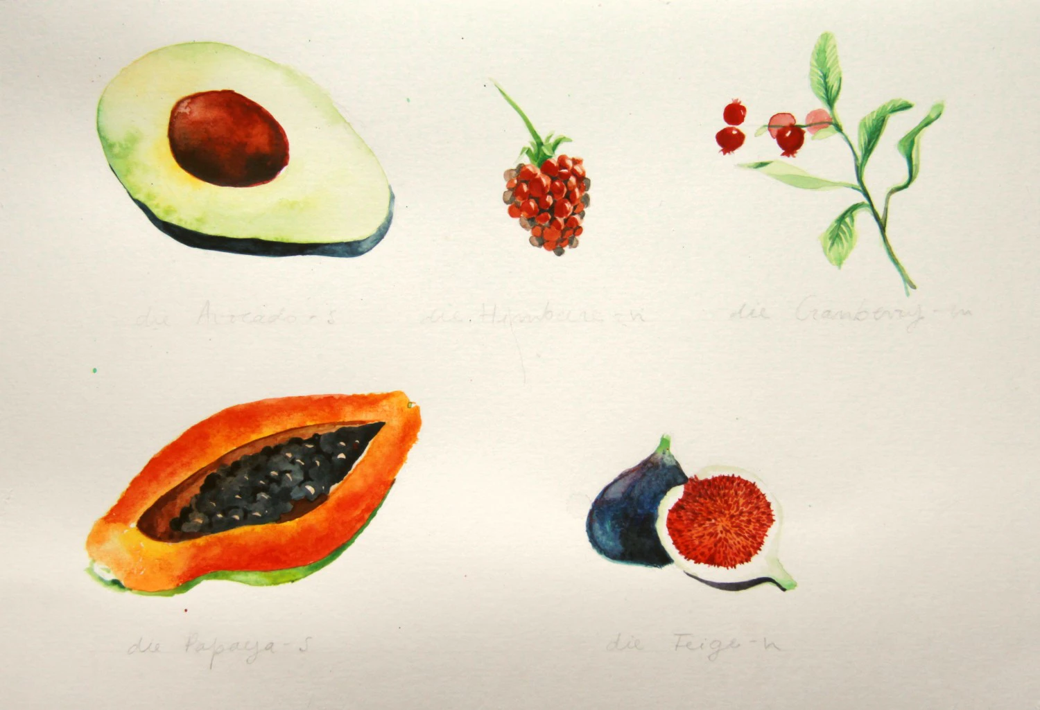 Illustrated German Dictionary - fruits by Mariana Laginha Mourato...