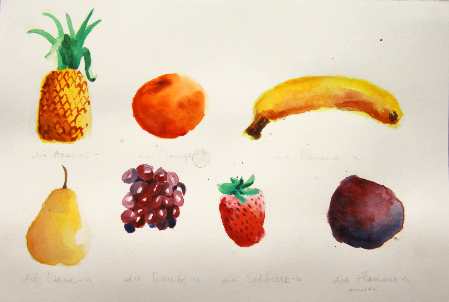 Illustrated German Dictionary - fruits by Mariana Laginha Mourato...