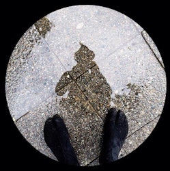 Francisco c.p. Vasconcelos