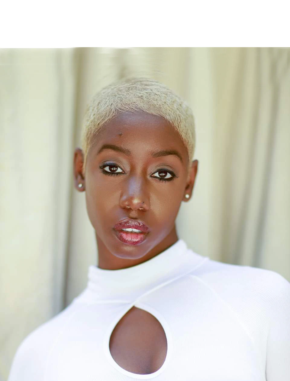Lewinale Havette