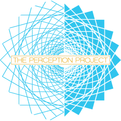 The Perception Project