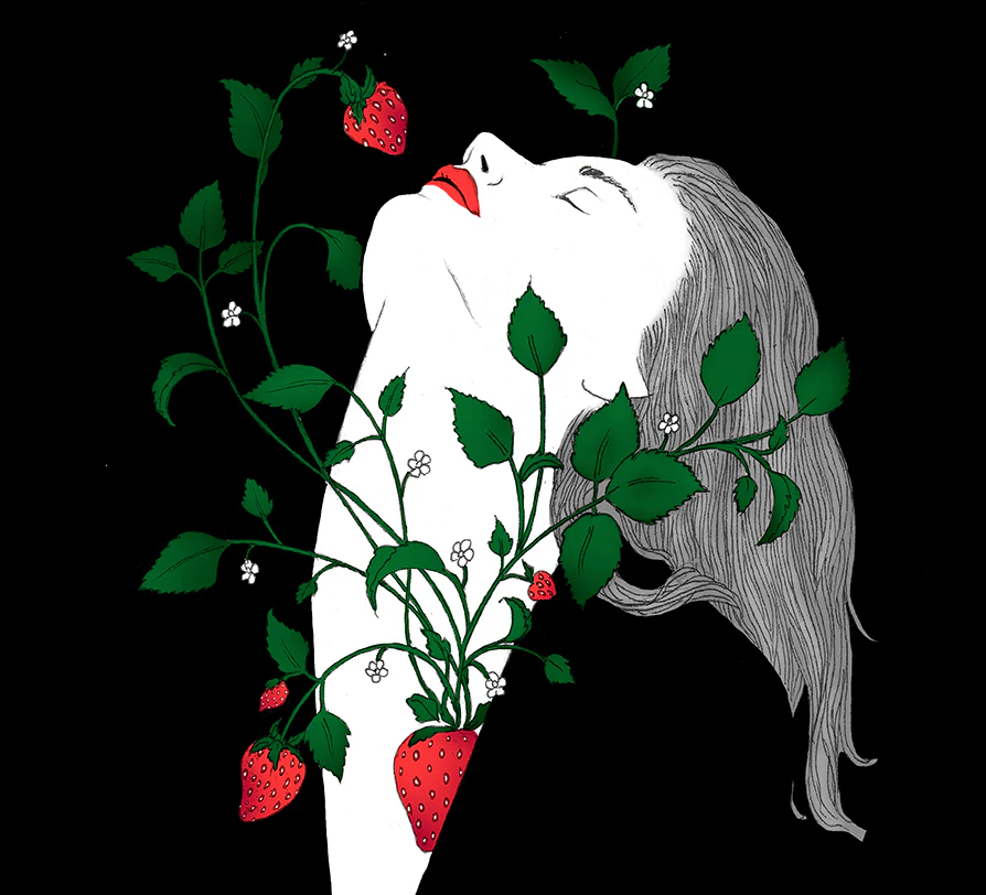 Noumeda Carbone